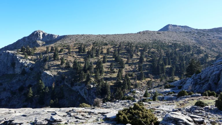 Rückblick auf meinen Abstieg vom namenlosen Gipfel P. 1696 (links im Bild). Hier bin ich falsch, da ich ich über den Cerro Estepilar gehe statt untenrum und das abklettern nacher schwierig wird.