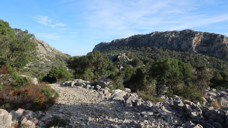 Auf dem Weg von Alcanalla zum Coll Pelat