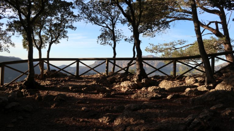 Mirador del Centenari del Foment