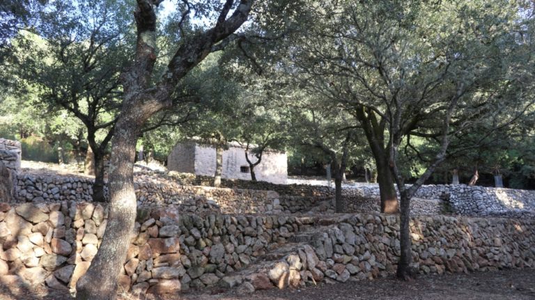 Ermita de Son Amer