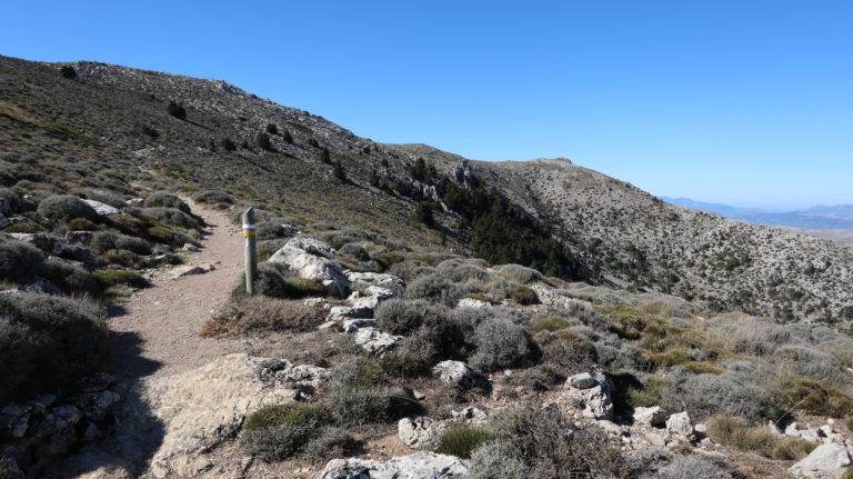 Auf dem Weg Puerto Saucillo - Peñón de los Enamorados