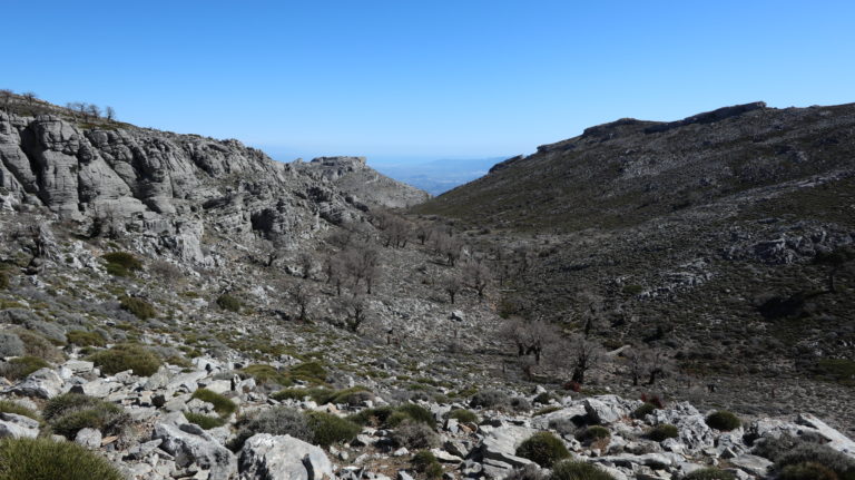 Rückweg durch das Tal Cañada de las Carnicerías