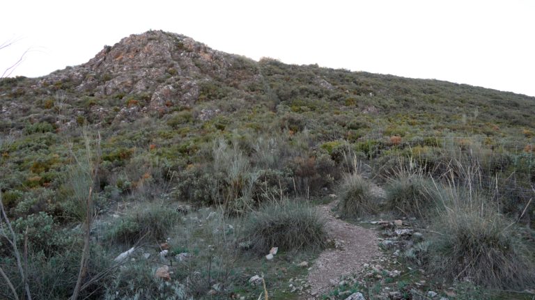 Am Collado del Morrón de la Punta