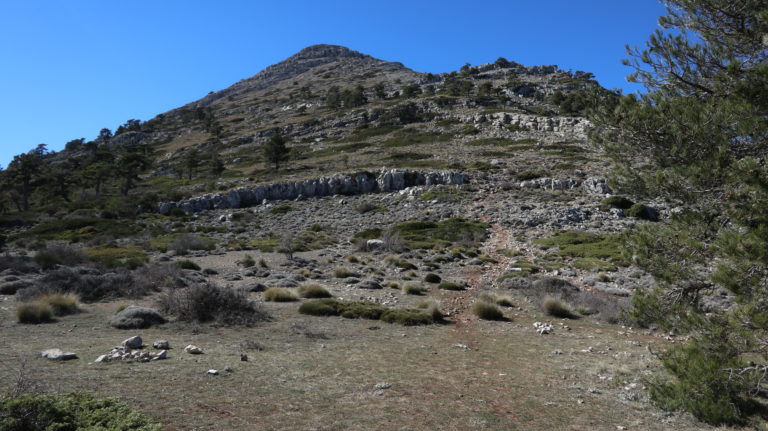 Am Collado de las Víboras