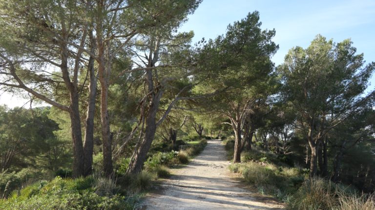 Anfangs breiter Weg von der Ermita de la Victòria