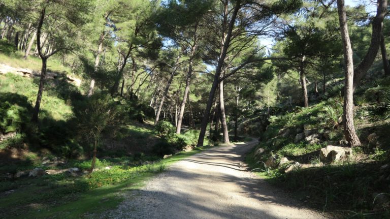 Zufahrtsweg zum Refugi del Coll Baix