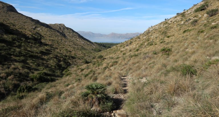 Abstieg vom Coll de na Benet zur Ermita de la Victòria