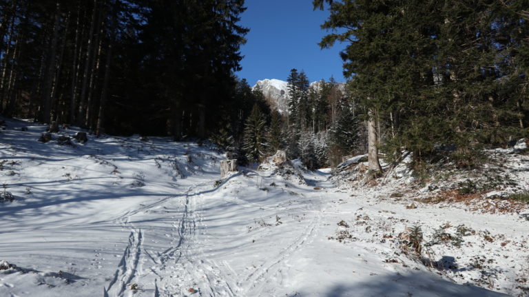 Beim Start am Kurhaus Alvier war die Schneeauflage noch dürftig.