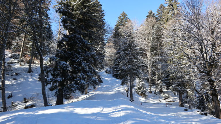 Ab Schnapsgrotzen wurde es endlich winterlich.