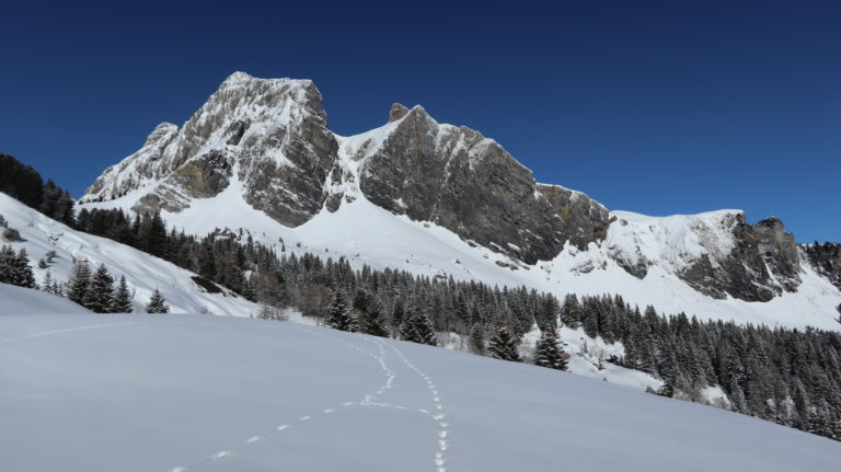 Blick auf die Gauschla von der Alp Labria