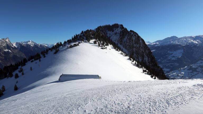 Alp Folla mit Gonzen im Hintergrund