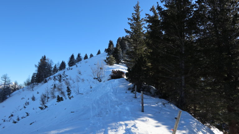 Auf dem Weg zum Gonzen