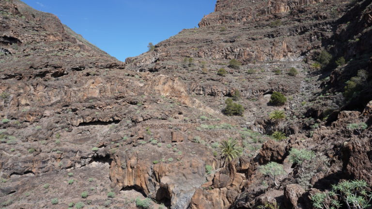 Weiter oben im Barranco wird angebaut.