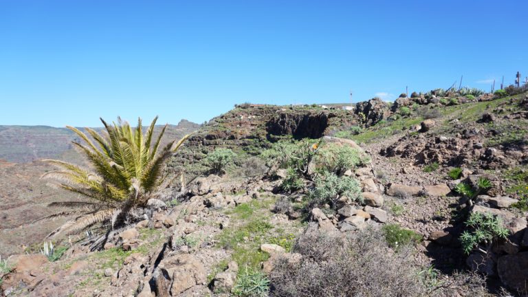 Ausstieg aus dem Barranco bei Gerián