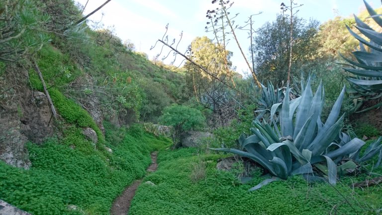 Im Barranco de San Miguel