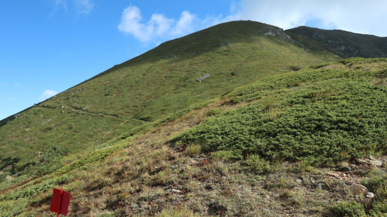 Aufstieg auf dem Westgrat entlang der Grenzfähnchen