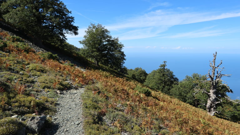 Der Weg auf der Nordseite ist besser.