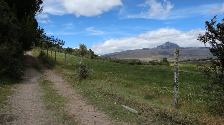 Rückweg entlang von Weiden zur Hacienda Ave Maria