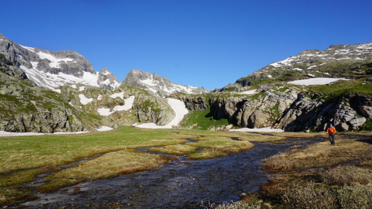 Sumpflandschaft auf dem Weg zum Gletscher