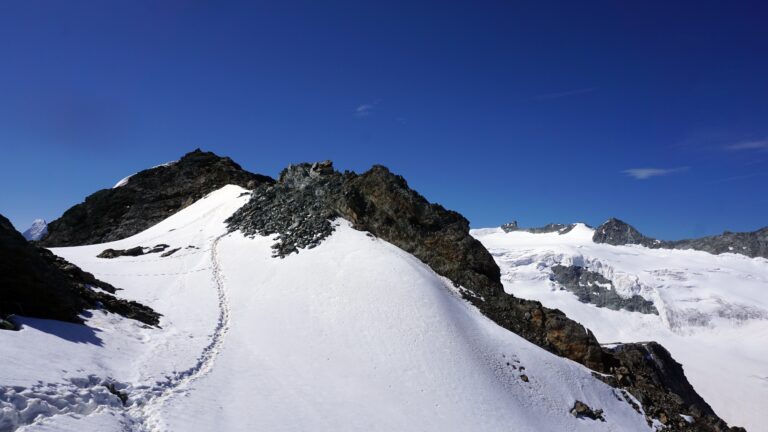 Firnfeld vor dem Gipfel