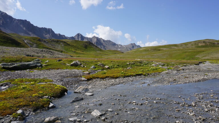 In der Sumpfebene vor dem Wanderweg