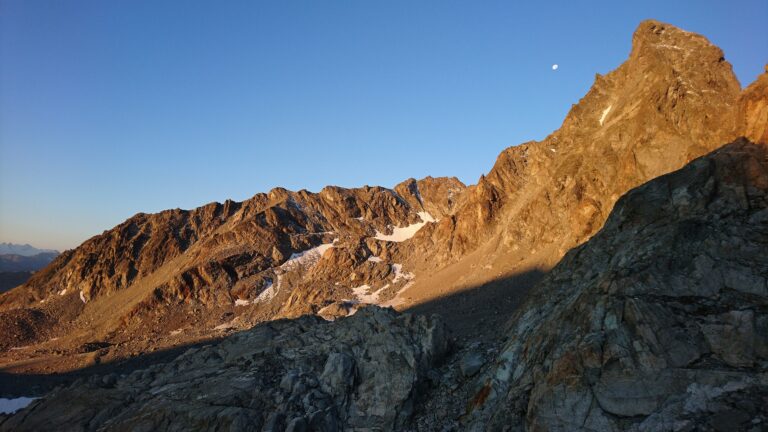 Keschnadel im Morgenlicht