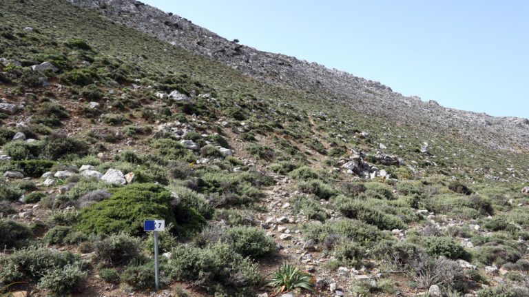 Aufstieg zum Kofinas-Westgrat auf dem Weg Richtung Moni Koudouma