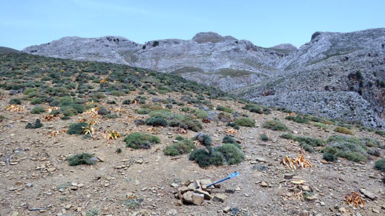 Nur dieser blaue Pfeil weist am Parkplatz auf den Zustieg zur Via Ferrata hin.