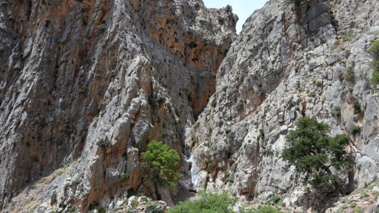 Blick vom Turm in die Schlucht