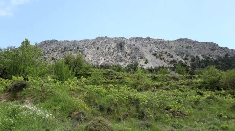 Weinanbau am Nordwesthang des Afentis Stavromenos