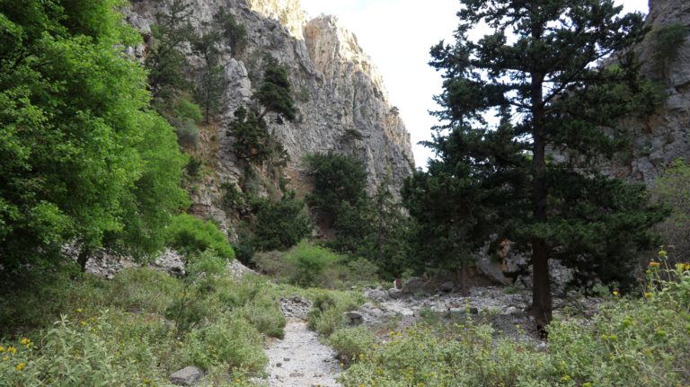 Im unteren Teil der Schlucht sind die Felswände höher.