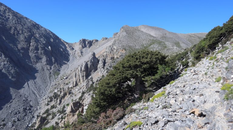 Schöne Querung nach dem ersten steilen Zickzack