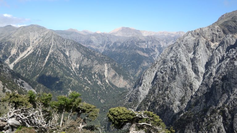 Schöner Ausblick in die Samaria-Schlucht