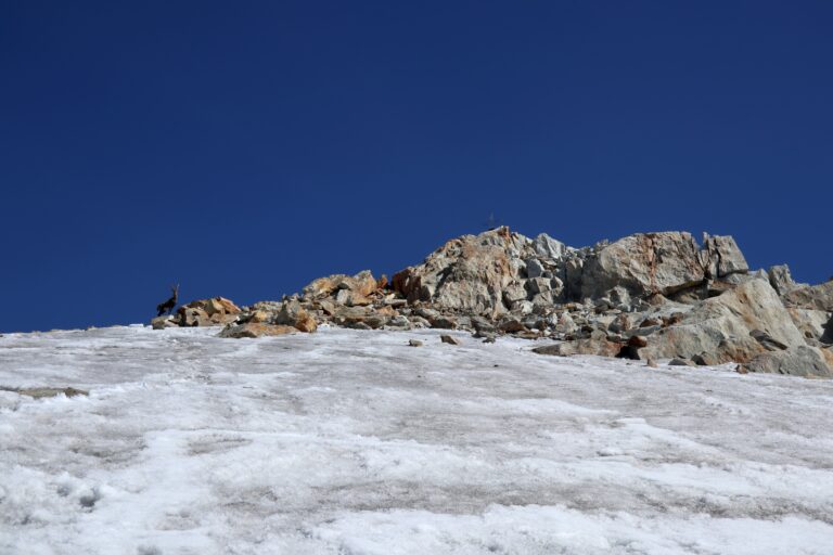 Auf dem Gletscher unter dem Oberaarhorn Gipfel