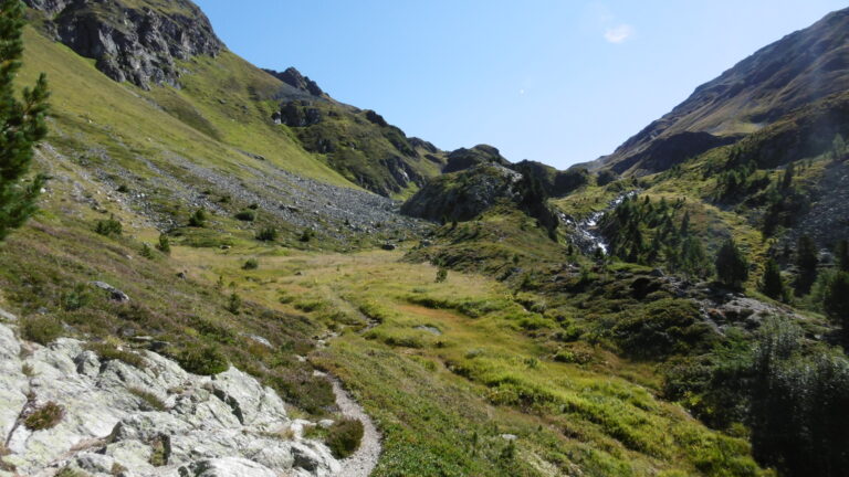 Moosige Landschaft oberhalb von Tuors Chants