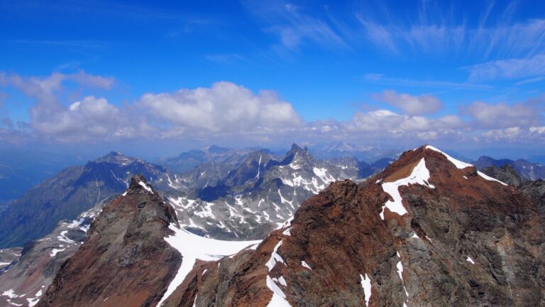 Blick auf den Nachbarn Schneeglocke