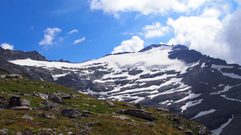 Rückblick von der Seitenmoräne zum Rheinwaldhorn mit dem schwindenden Brasciana-Gletscher