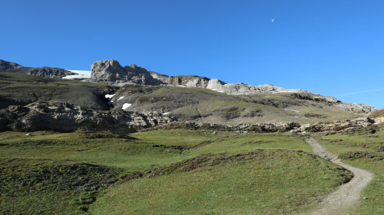 Deutlicher Weg durch alpine Wiesen