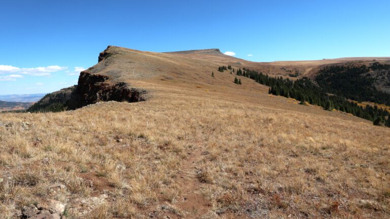 Wegspur auf dem Flat Top Mountain