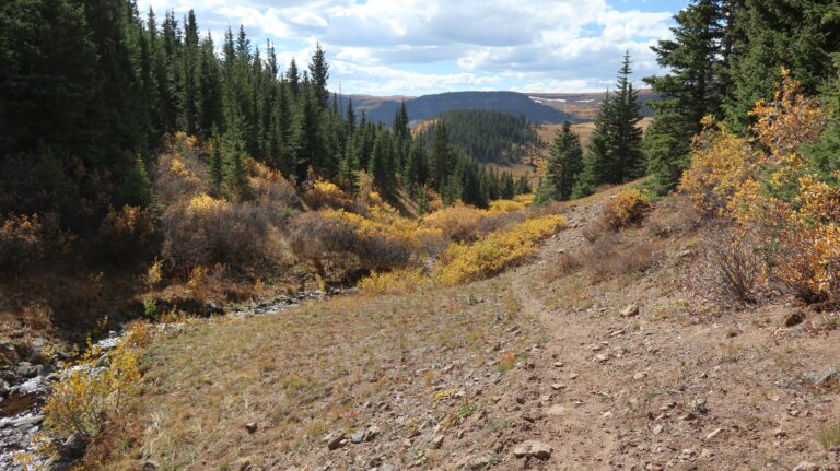 Abstieg entlang des North Fork Derby Creeks