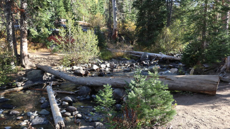 Naturbrücke über den Gold Creek