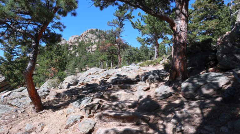 Lily Ridge Trail