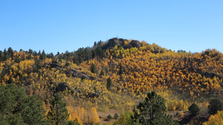 Herbstfarben gegenüber des Crystal Creek Reservoirs