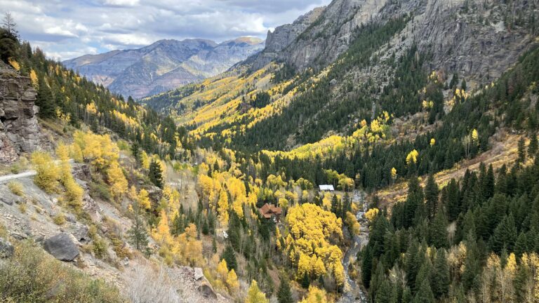 Tolle Herbstfarben im Canyon Creek bei der Rückfahrt